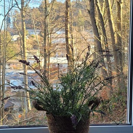 Appartamento Am Wald Waldkirch Esterno foto