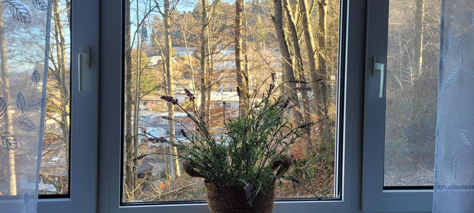 Appartamento Am Wald Waldkirch Esterno foto